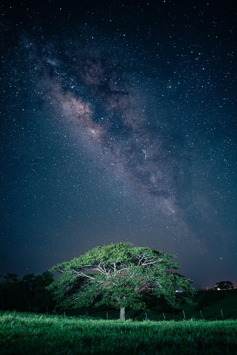 Meteor Shower in the Sahara Desert
